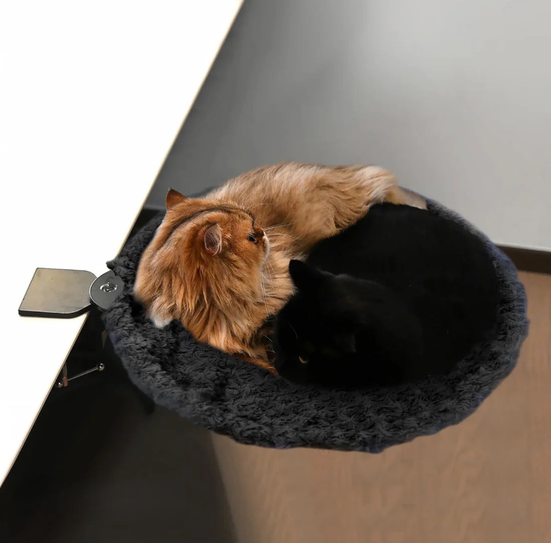 PurrNest Cozy