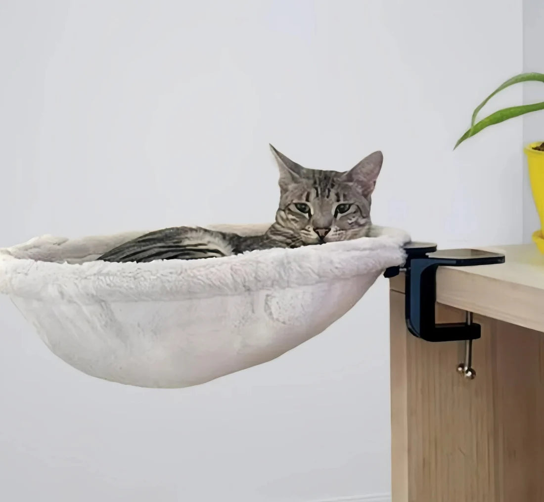 PurrNest Cozy